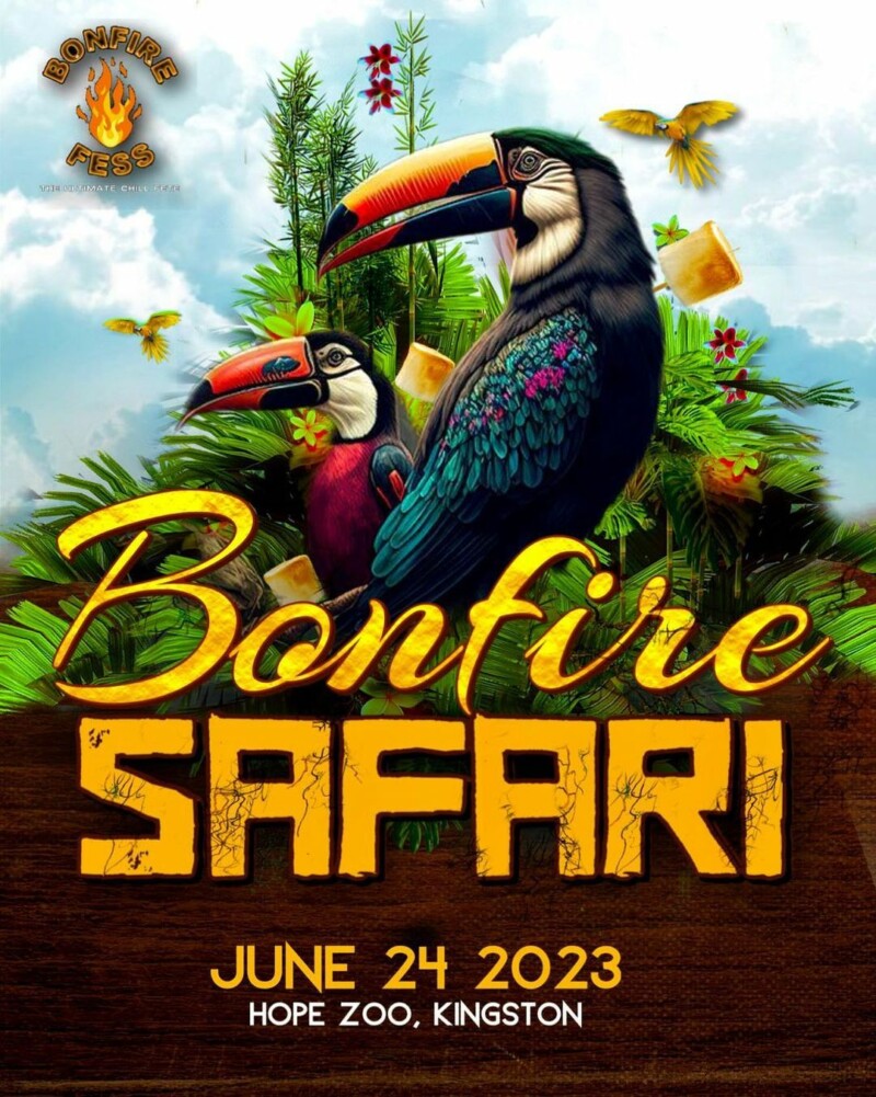 bonfire safari